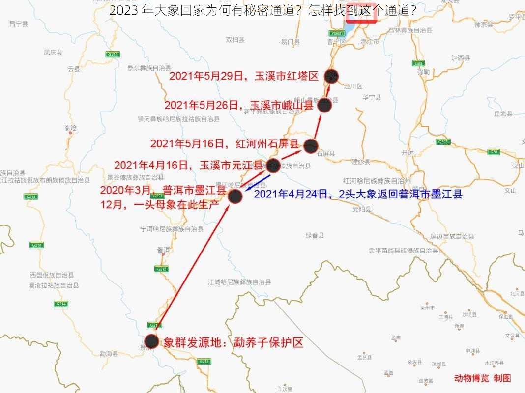 2023 年大象回家为何有秘密通道？怎样找到这个通道？