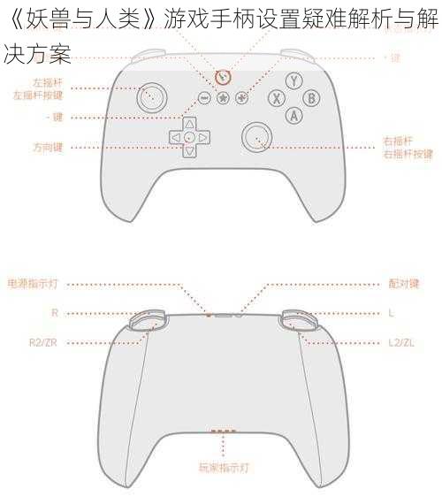 《妖兽与人类》游戏手柄设置疑难解析与解决方案