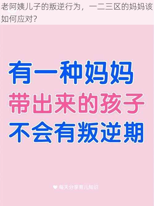 老阿姨儿子的叛逆行为，一二三区的妈妈该如何应对？