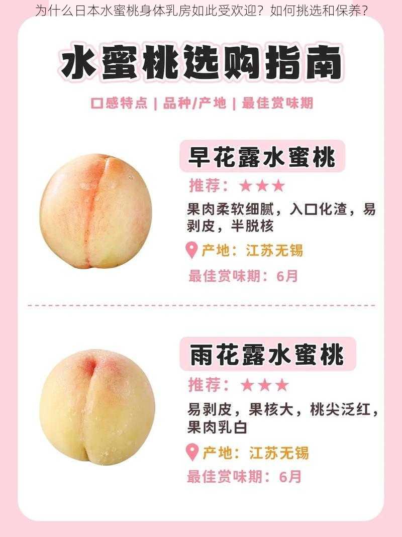 为什么日本水蜜桃身体乳房如此受欢迎？如何挑选和保养？