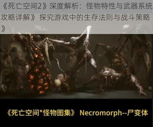 《死亡空间2》深度解析：怪物特性与武器系统攻略详解》 探究游戏中的生存法则与战斗策略》