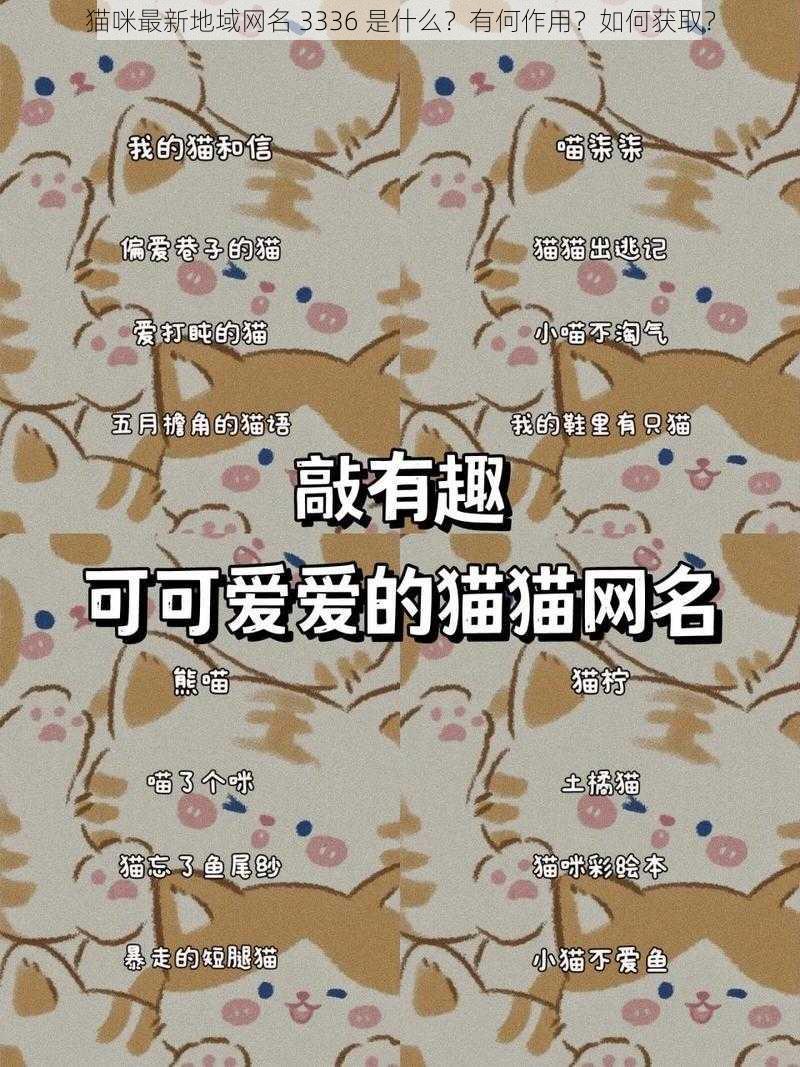 猫咪最新地域网名 3336 是什么？有何作用？如何获取？