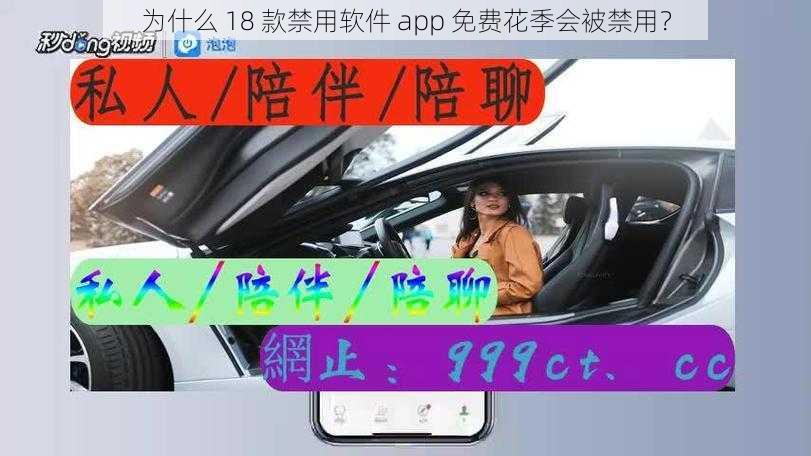 为什么 18 款禁用软件 app 免费花季会被禁用？