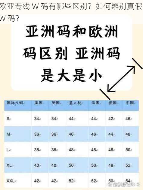 欧亚专线 W 码有哪些区别？如何辨别真假 W 码？