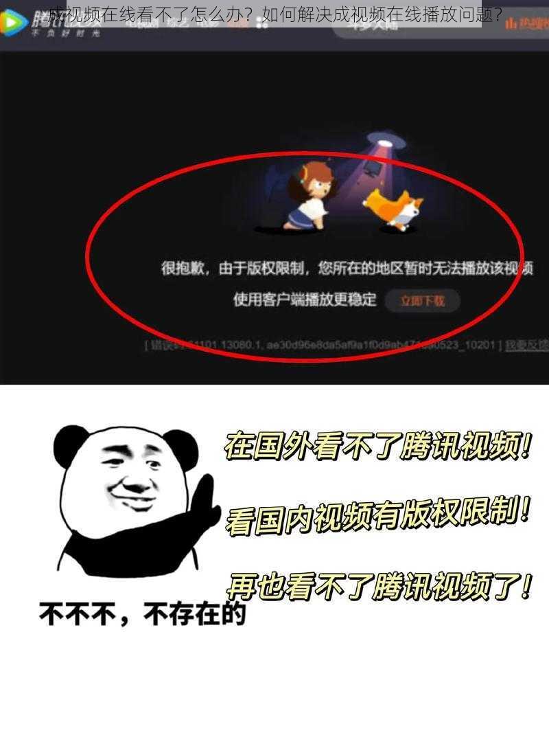 成视频在线看不了怎么办？如何解决成视频在线播放问题？