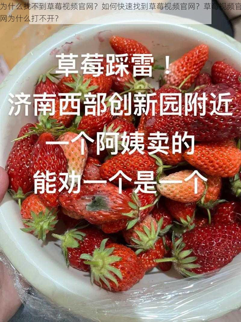 为什么找不到草莓视频官网？如何快速找到草莓视频官网？草莓视频官网为什么打不开？