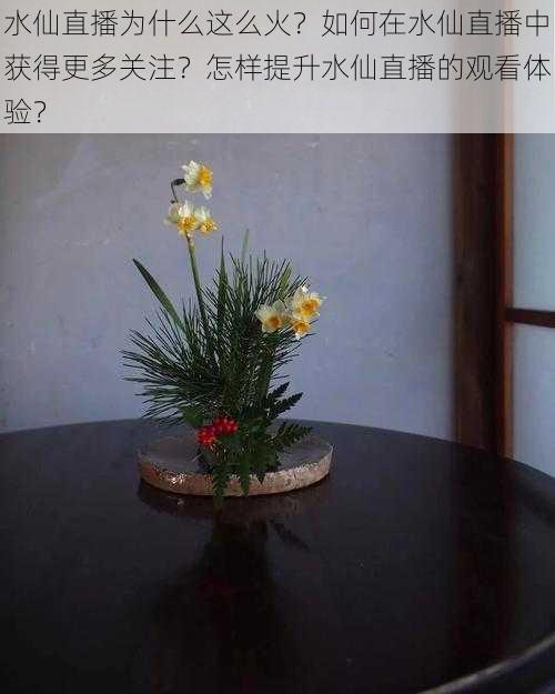 水仙直播为什么这么火？如何在水仙直播中获得更多关注？怎样提升水仙直播的观看体验？