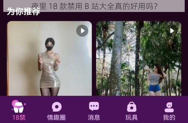 夜里 18 款禁用 B 站大全真的好用吗？