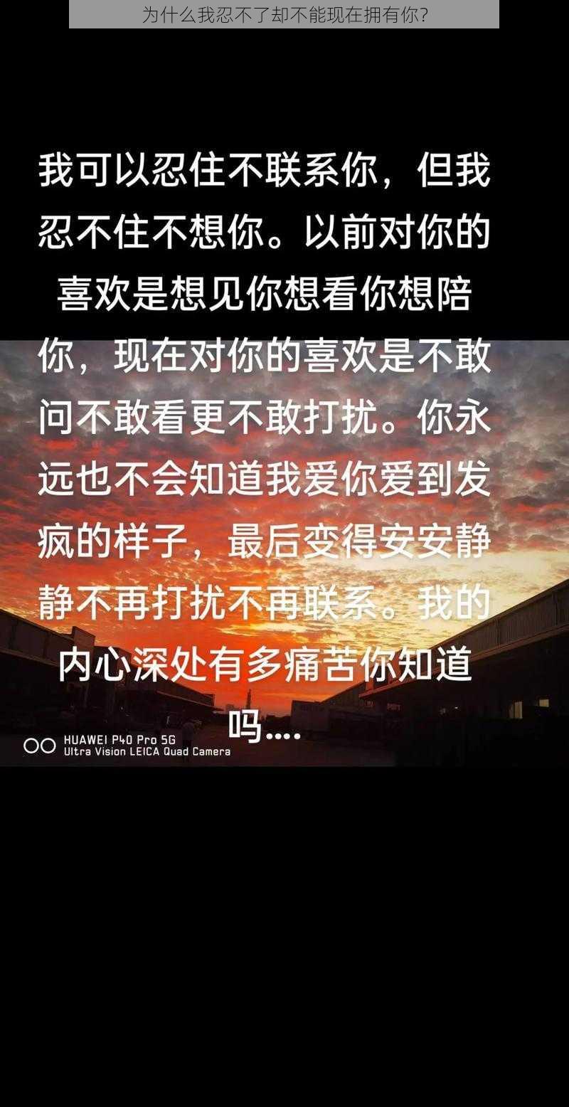 为什么我忍不了却不能现在拥有你？