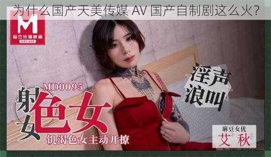 为什么国产天美传媒 AV 国产自制剧这么火？