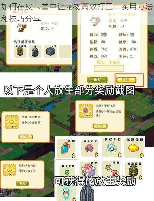 如何在皮卡堂中让宠物高效打工：实用方法和技巧分享