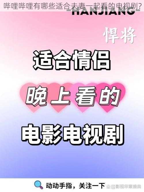 哔哩哔哩有哪些适合夫妻一起看的电视剧？