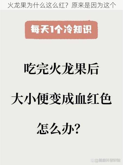 火龙果为什么这么红？原来是因为这个