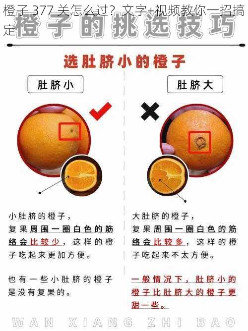 橙子 377 关怎么过？文字+视频教你一招搞定