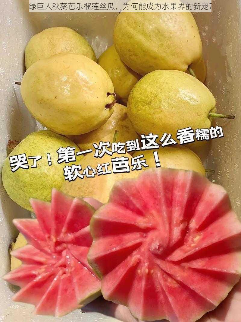 绿巨人秋葵芭乐榴莲丝瓜，为何能成为水果界的新宠？