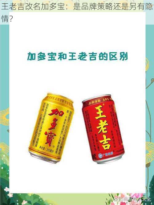 王老吉改名加多宝：是品牌策略还是另有隐情？