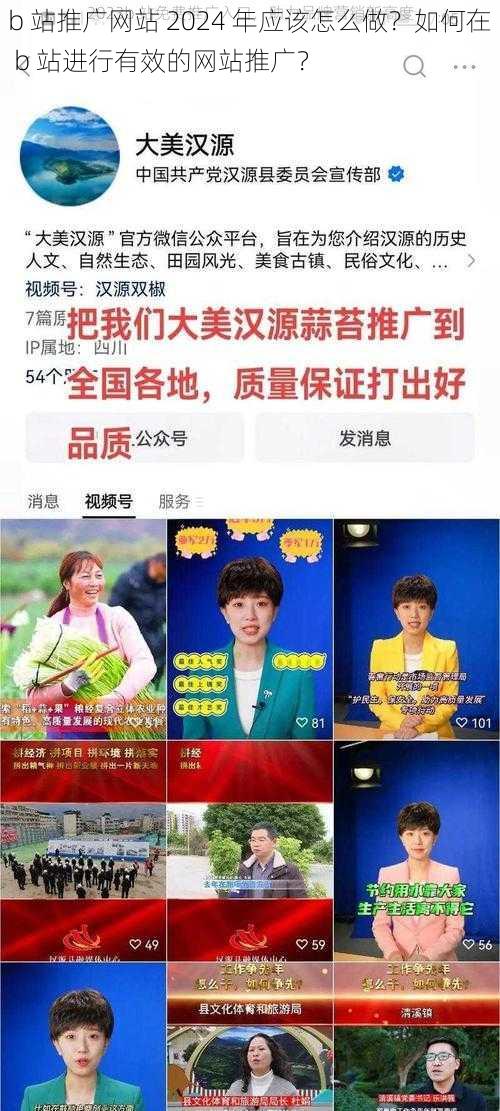 b 站推广网站 2024 年应该怎么做？如何在 b 站进行有效的网站推广？