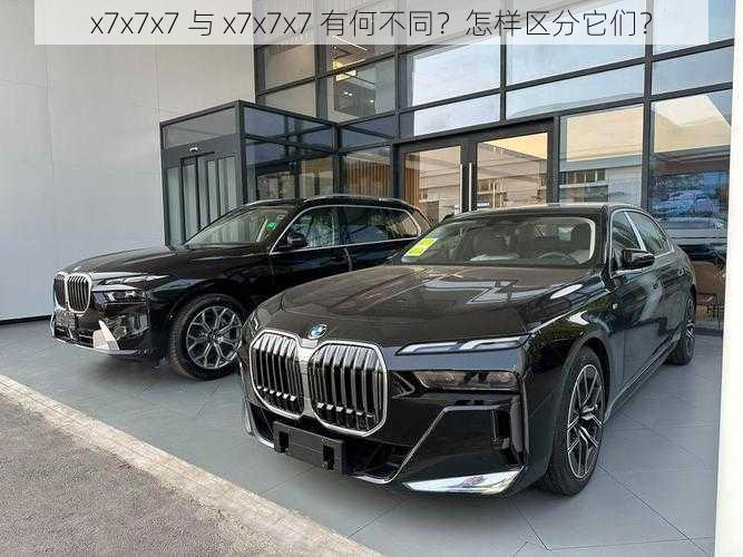 x7x7x7 与 x7x7x7 有何不同？怎样区分它们？