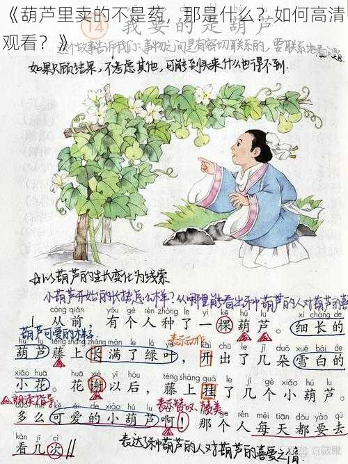 《葫芦里卖的不是药，那是什么？如何高清观看？》