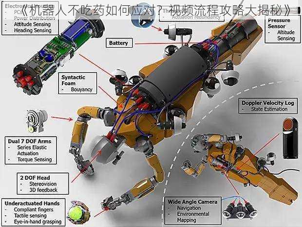 《机器人不吃药如何应对？视频流程攻略大揭秘》
