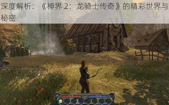 深度解析：《神界 2：龙骑士传奇》的精彩世界与秘密