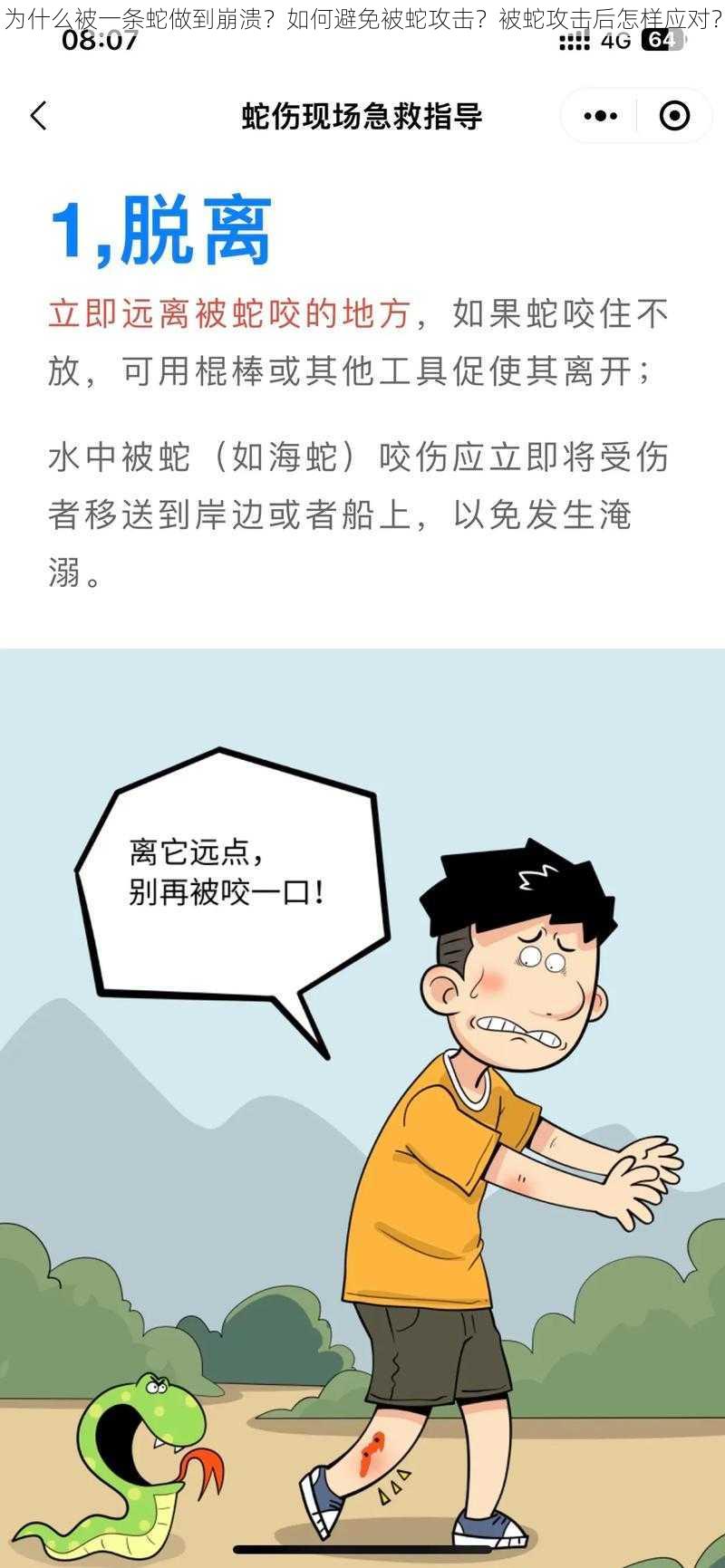 为什么被一条蛇做到崩溃？如何避免被蛇攻击？被蛇攻击后怎样应对？