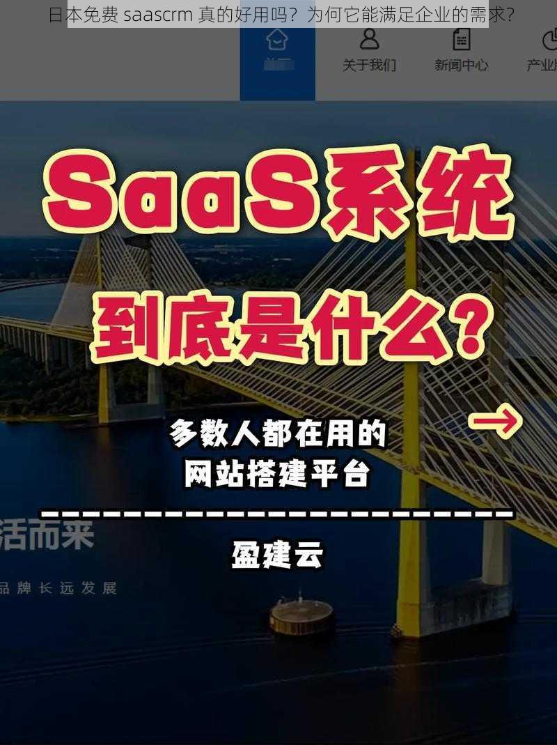 日本免费 saascrm 真的好用吗？为何它能满足企业的需求？