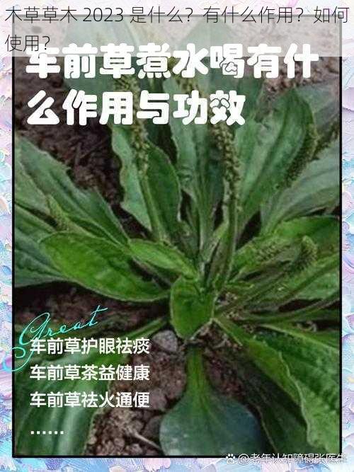 木草草木 2023 是什么？有什么作用？如何使用？