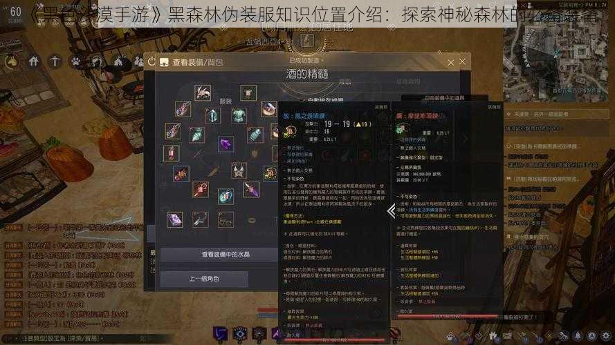 《黑色沙漠手游》黑森林伪装服知识位置介绍：探索神秘森林的必备装备