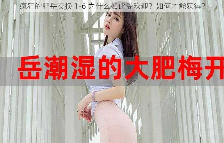 疯狂的肥岳交换 1-6 为什么如此受欢迎？如何才能获得？