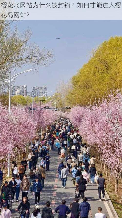 樱花岛网站为什么被封锁？如何才能进入樱花岛网站？