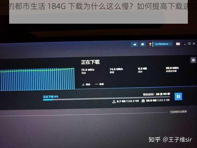 我的都市生活 184G 下载为什么这么慢？如何提高下载速度？