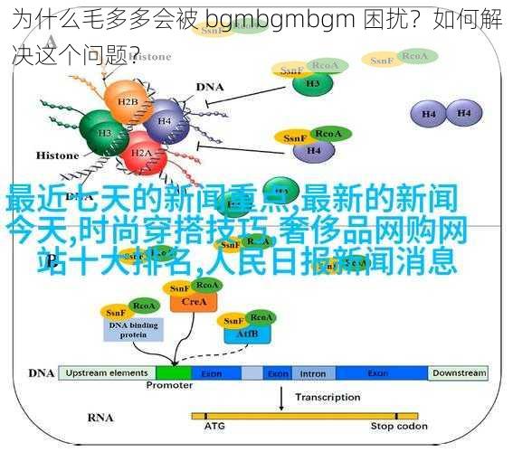 为什么毛多多会被 bgmbgmbgm 困扰？如何解决这个问题？