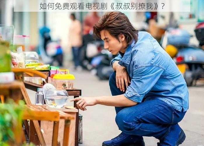 如何免费观看电视剧《叔叔别撩我》？