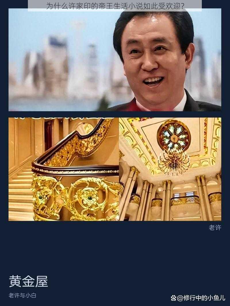 为什么许家印的帝王生活小说如此受欢迎？