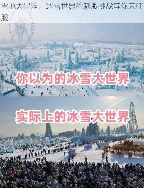 雪地大冒险：冰雪世界的刺激挑战等你来征服