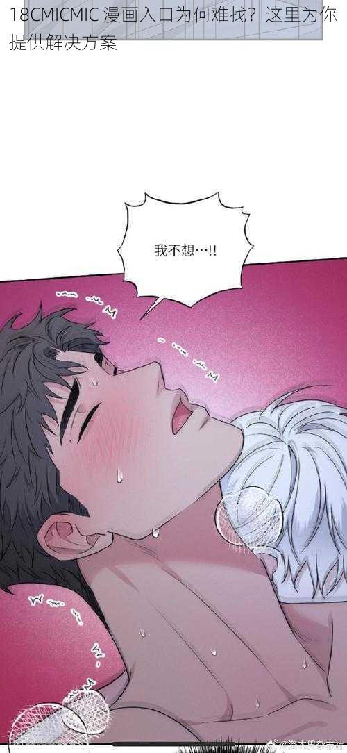 18CMICMIC 漫画入口为何难找？这里为你提供解决方案