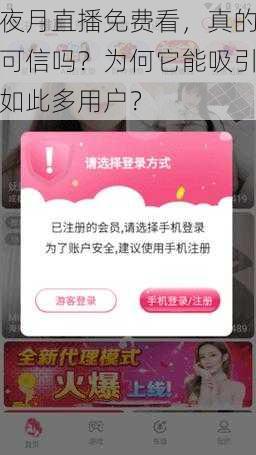 夜月直播免费看，真的可信吗？为何它能吸引如此多用户？