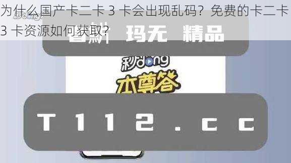 为什么国产卡二卡 3 卡会出现乱码？免费的卡二卡 3 卡资源如何获取？