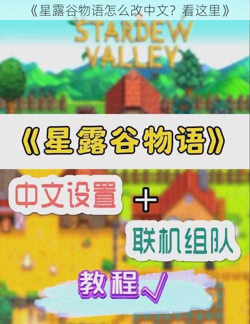 《星露谷物语怎么改中文？看这里》