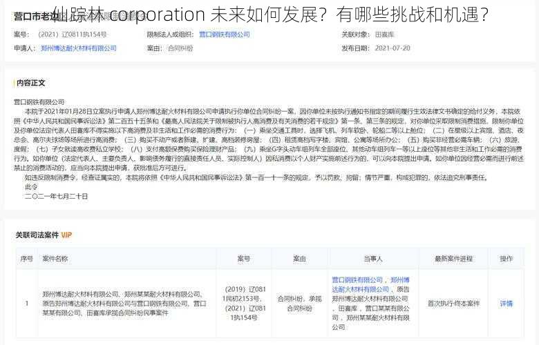 仙踪林 corporation 未来如何发展？有哪些挑战和机遇？