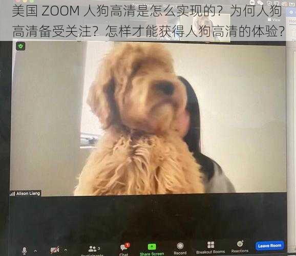 美国 ZOOM 人狗高清是怎么实现的？为何人狗高清备受关注？怎样才能获得人狗高清的体验？