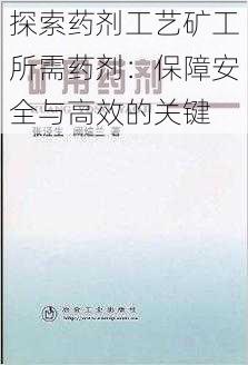 探索药剂工艺矿工所需药剂：保障安全与高效的关键