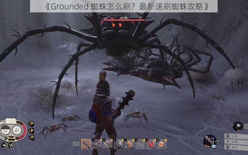 《Grounded 蜘蛛怎么刷？最新速刷蜘蛛攻略》