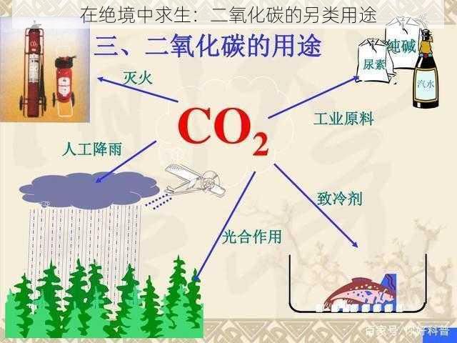 在绝境中求生：二氧化碳的另类用途