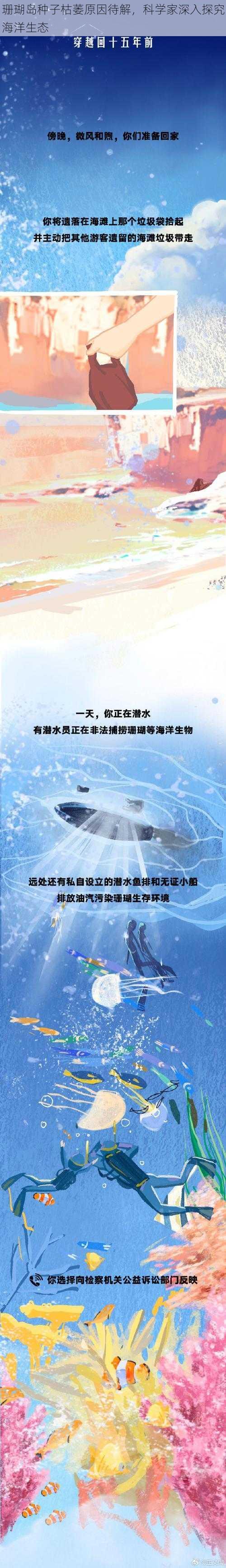 珊瑚岛种子枯萎原因待解，科学家深入探究海洋生态