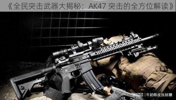 《全民突击武器大揭秘：AK47 突击的全方位解读》